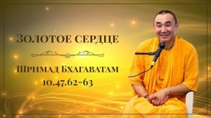 2026.04.08 - Золотое сердце, ШБ 10.47.62-63, Нагорная. Е. С. Даяван Свами