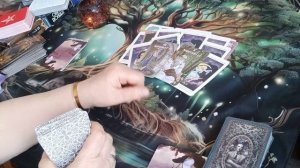 Какая лиса 🦊 платит за "чернуху"📜❓💫⚖️🪞