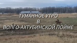 Волго-Ахтубинская пойма. Смена декораций✅