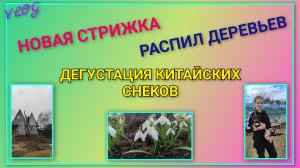 🍒 Новая стрижка/ Распаковка и дегустация китайских снеков/ Дети оставили нас одних Распил веток