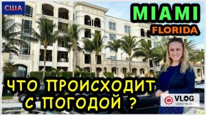 Уехали в Майами/ Что опять с погодой??/ Необычные коты/ Закаты и виды/ Парки и кафе/ США/ Флорида