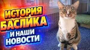 История Баслика и Наши новости.