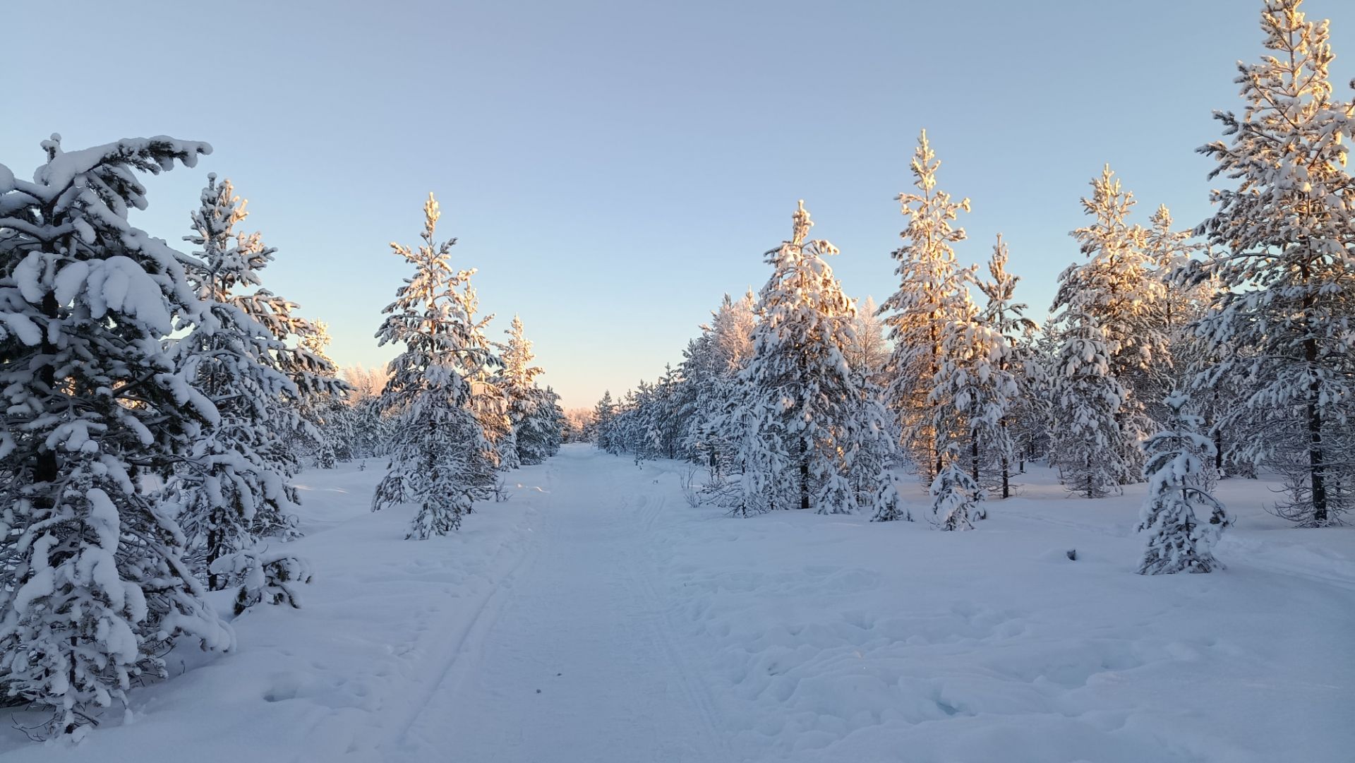 Frozen Melody - Jeff Zarling