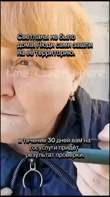 мотивация новости новосибирск криминал коровы панина