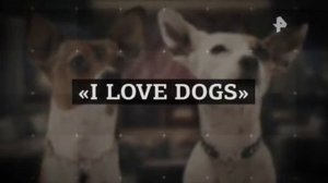 Конец эфира (РЕН +2, 16.01.2019)