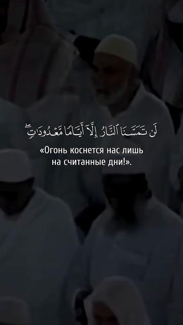 Сура 3 Али Имран. Махер аль-Муайкли