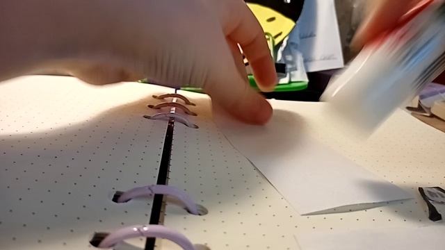 Коллекция  Эдида и Камику.