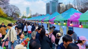 양재 무브 살롱, 살롱 그라운드 축제2026 양재천 벚꽃 등 축제, 서울 벚꽃 축제, 서울여행워커