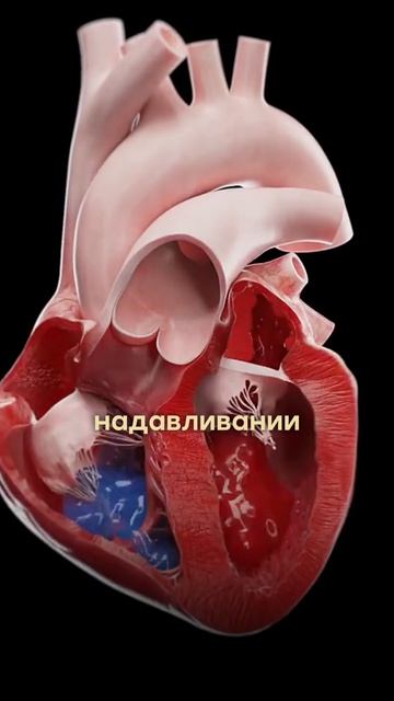Боль в груди — всегда сердце? Не совсем. Есть признаки, по которым можно отличить.