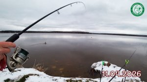 РЫБАЛКА НА ФИДЕР В АПРЕЛЕ 2026 НА ПРУДУ! РАНО, А НЕТ РЫБА ПОКЛЁВЫВАЕТ, СЕЗОН ОТКРЫЛ, ЛОВИМ НА УРАЛЕ!