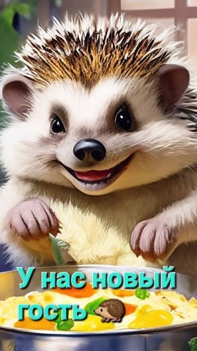 У нас новый гость!