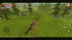 вопросы и ответы