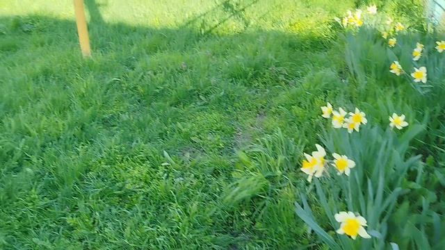 ДЕНЬ СТОЛЬНИКА У КОТИКОВ! 