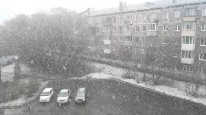 НАШ СНЕГОПАД НА 10 АПРЕЛЯ. НОВОКУЗНЕЦК