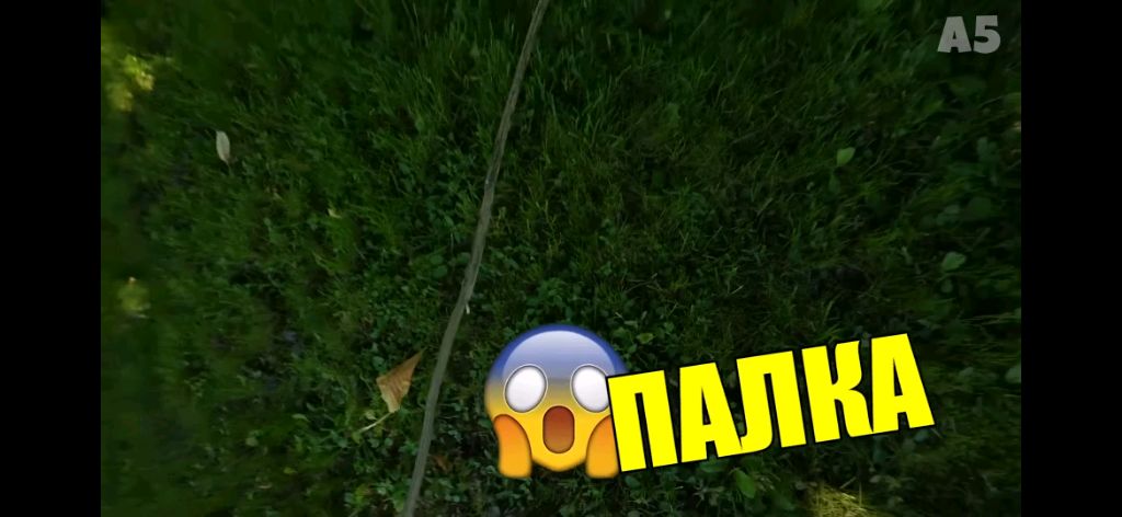 пытаемся не умиреть в бесиеге