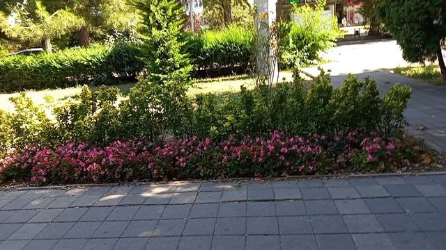 #красота в Анапе