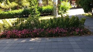 #красота в Анапе