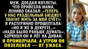 Истории из жизни| С этого дня у нас раздельный бюджет - сказал муж |Аудио рассказы|Жизненные истории