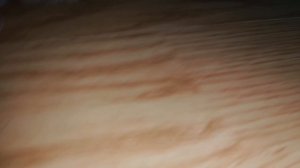 ПРЯТКИ В ТЕМНОТЕ 🌑🌑 ЧУТЬ НЕ ЗАБЫЛИ ПРО БЕЛОЧКУ ?