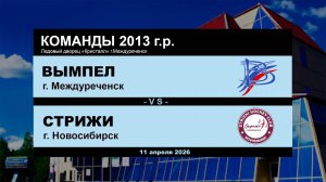 Вымпел - Стрижи