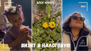 В налоговой | Когда мечтаешь о длинных волосах | Саранча - ВЛОГ №3909 - 09.04.26