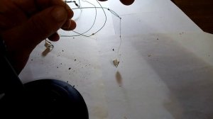 СНАСТЬ НА МИРНУЮ И ХИЩНУЮ РЫБУ