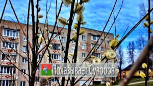 Показывает Суворов 11 апреля 2026