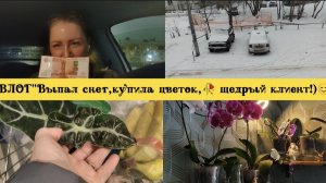 ВЛОГ "Выпал снег❄,купила цветок 🪴,щедрый клиент💸 !)😊