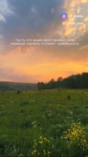 То что нужно для успокоения души