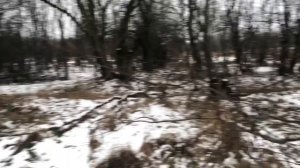 ЗИМНИЙ КОП МЕТАЛЛОЛОМА ВДОЛЬ ПОЛЕЙ/Евген Шлык