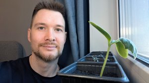 Посадил закусон