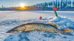 Зимняя рыбалка. Село Катравож, ЯНАО