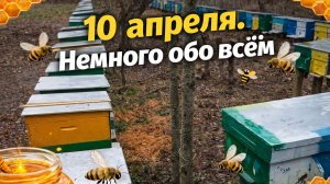 10 апреля. Немного обо всём