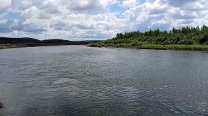 ЛЕТНЯЯ ПРОГУЛКА ИЮЛЬ2025