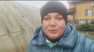 Настраиваюсь на выпечку куличей. Что купила...