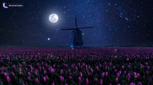 Прекрасная расслабляющая музыка для сна.