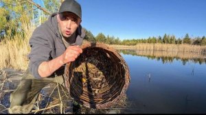 ОГО! Сколько ВЬЮНОВ! Ловлю руками и ловушками на болоте 24 часа
