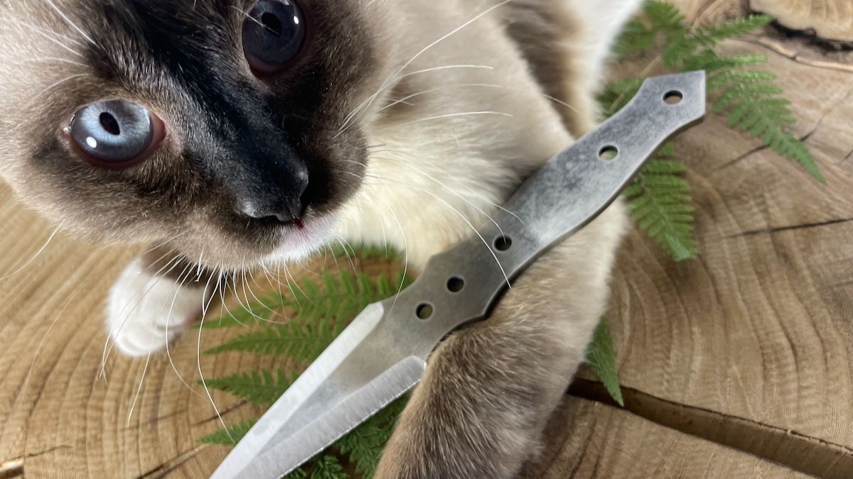 Клинки кортиков