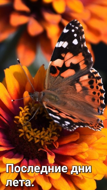 Первые дни лета.