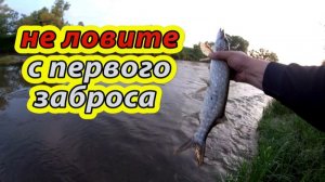 Кто сказал, что рыболовные приметы не работают? С первого заброса не лови! Рыбалка на спиннинг