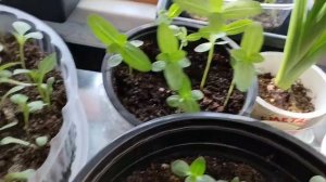 Выполнила многое из задуманного💥💥💥