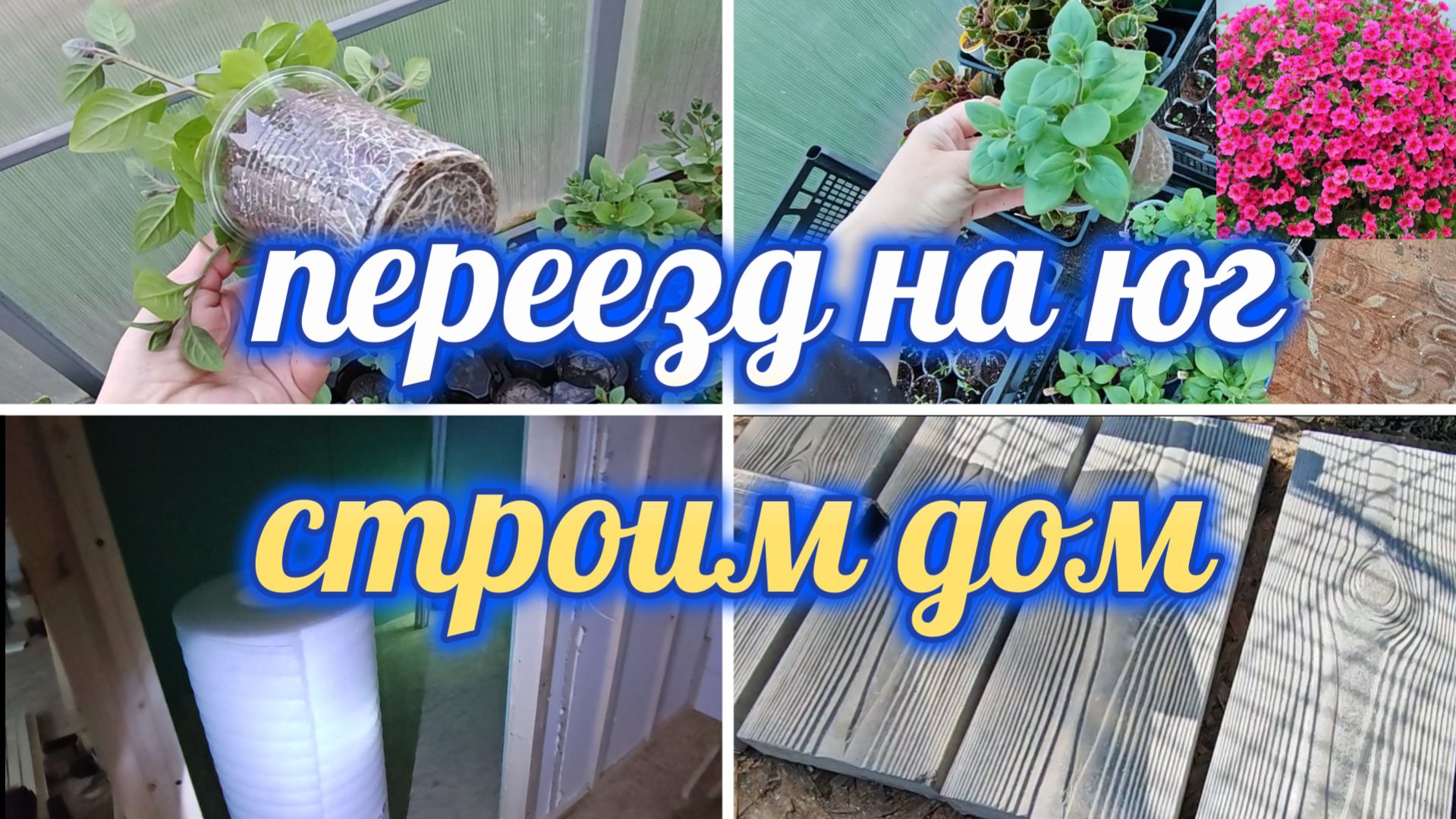 ЧТО СО СТРОЙКОЙ! ПОЛУЧИЛА ПРАВА, ГОТОВА ПЕТУНИЯ ДЛЯ ПРОДАЖИ,