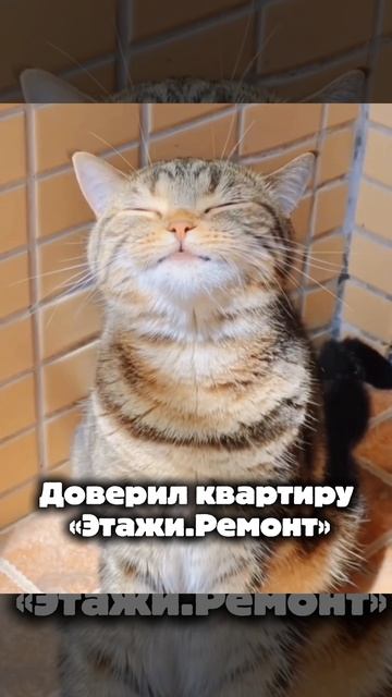 Этажи.Ремонт