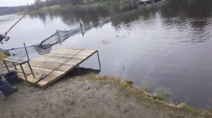 Светлые Горы Форель7 11.04.2026г.