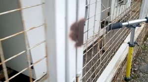 холодильное оборудование