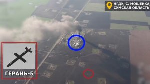 Да, Зеленский лжет Трампу насчет своих дронов