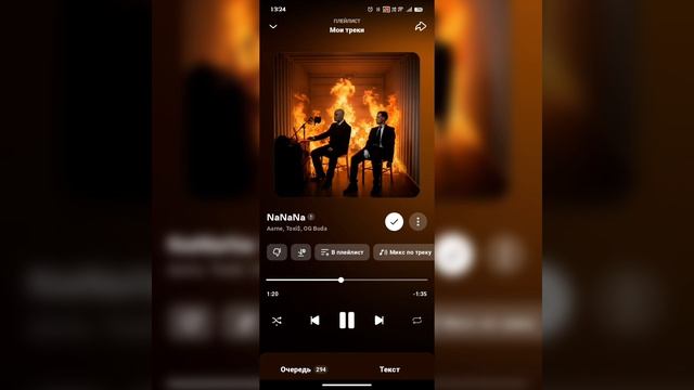 NaNaNa-Toxi$, Aarne, OG Buda