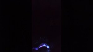 обзор дозор.