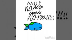 Моя порода 😊