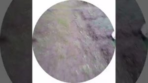 Обзор на брусчатку от Михалыча